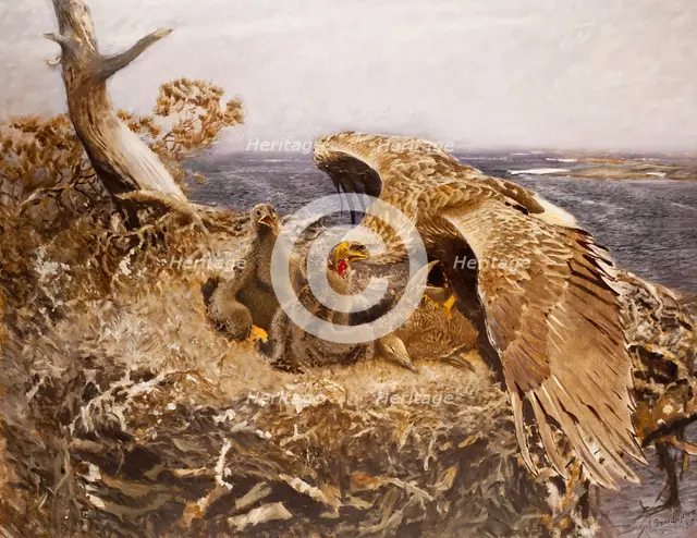 Sea Eagle's Nest, 1907. Creator: Bruno Liljefors.