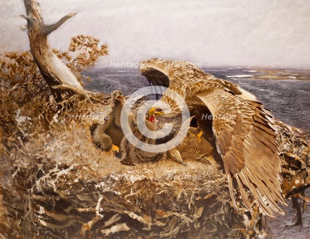 Sea Eagle's Nest, 1907. Creator: Bruno Liljefors.
