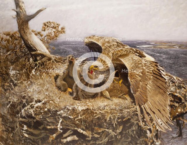 Sea Eagle's Nest, 1907. Creator: Bruno Liljefors.