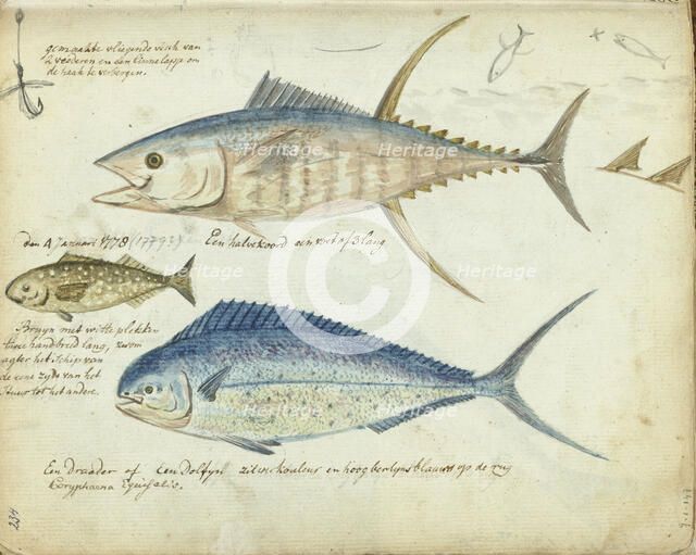 Sea fishing, 1778-1779. Creator: Jan Brandes.