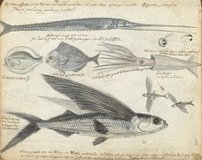 Sea fishing, 1778. Creator: Jan Brandes