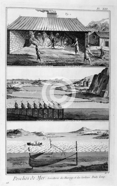 Sea fishing, herring and sardines, 1751-1777. Artist: Unknown