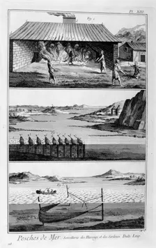 Sea fishing, herring and sardines, 1751-1777