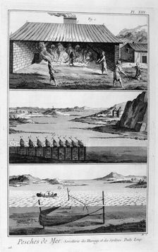 Sea fishing, herring and sardines, 1751-1777