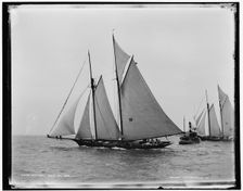 Sea Fox, 1889 July 15. Creator: Unknown