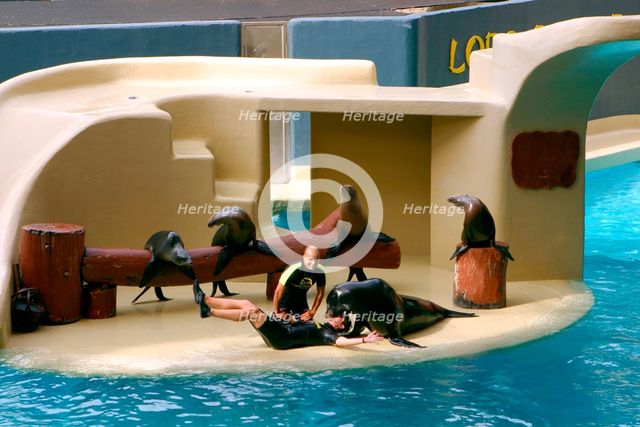 Sea lion show, Loro Parque, Tenerife, Canary Islands, 2007. Creator: Peter Thompson.