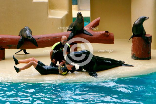 Sea lion show, Loro Parque, Tenerife, Canary Islands, 2007. Creator: Peter Thompson.