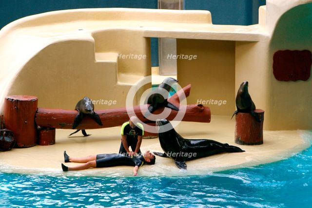 Sea lion show, Loro Parque, Tenerife, Canary Islands, 2007. Creator: Peter Thompson.