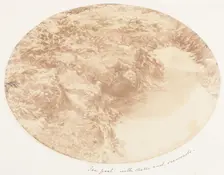 Sea Pool with Shells and Seaweeds, 1853-56. Creator: John Dillwyn Llewelyn