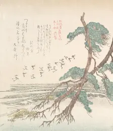 Sea-Side Landscape with Pine Trees and Flying Cranes, 19th century. Creator: Kubo Shunman