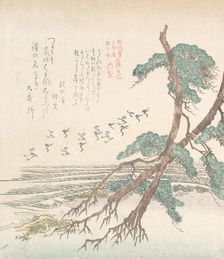 Sea-Side Landscape with Pine Trees and Flying Cranes, 19th century. Creator: Kubo Shunman
