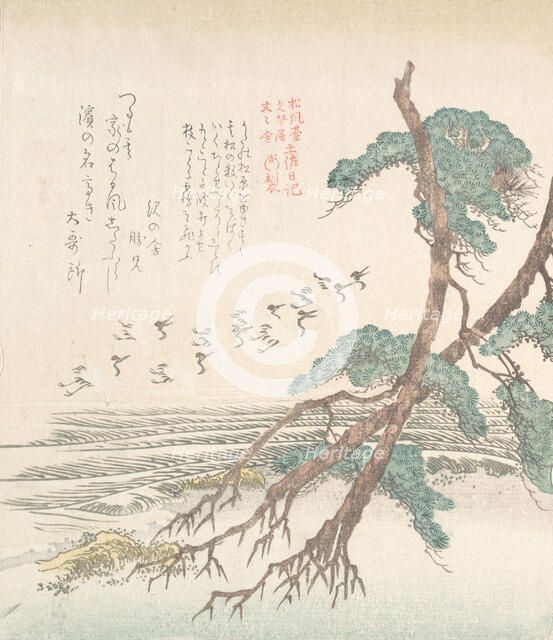 Sea-Side Landscape with Pine Trees and Flying Cranes, 19th century. Creator: Kubo Shunman.