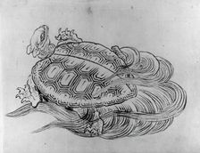 Sea Turtle (Emblem of Longevity), 18th-19th century. Creator: Hokusai