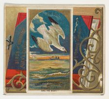 Seagull, from the Birds of America series (N37) for Allen & Ginter Cigarettes, 1888. Creator: Allen & Ginter