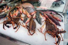Seafood, Katelios, Kefalonia, Greece. Creator: Peter Thompson