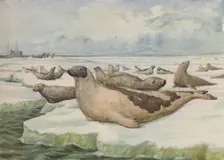 Seal-Hunting, Newfoundland 1916. Artist: Lowther, C.G