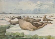 Seal-Hunting, Newfoundland 1916. Artist: Lowther, C.G
