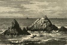 Seal Rocks 1872. Creator: John Filmer