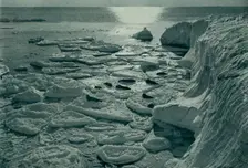 Seals Basking on Newly Formed Pancake Ice Off Cape Evans c1910–1913, (1913). Artist: Herbert Ponting