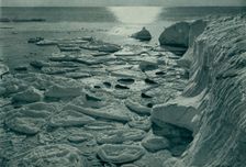 Seals Basking on Newly Formed Pancake Ice Off Cape Evans c1910–1913, (1913). Artist: Herbert Ponting