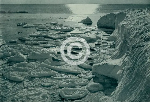 'Seals Basking on Newly Formed Pancake Ice Off Cape Evans', c1910–1913, (1913). Artist: Herbert Ponting.