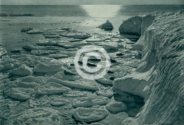 'Seals Basking on Newly Formed Pancake Ice Off Cape Evans', c1910–1913, (1913). Artist: Herbert Ponting.