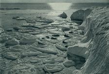 Seals Basking on Newly Formed Pancake Ice Off Cape Evans c1910–1913, (1913). Artist: Herbert Ponting