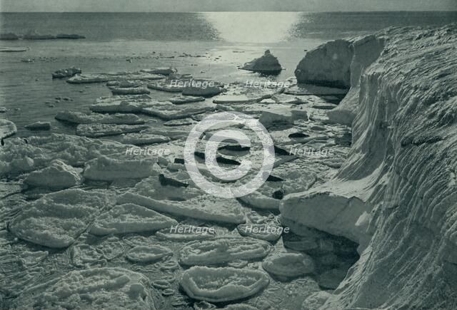'Seals Basking on Newly Formed Pancake Ice Off Cape Evans', c1910–1913, (1913). Artist: Herbert Ponting.