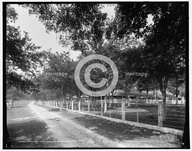 Seashore Camp Grounds, Biloxi, Miss., c1900. Creator: Unknown.