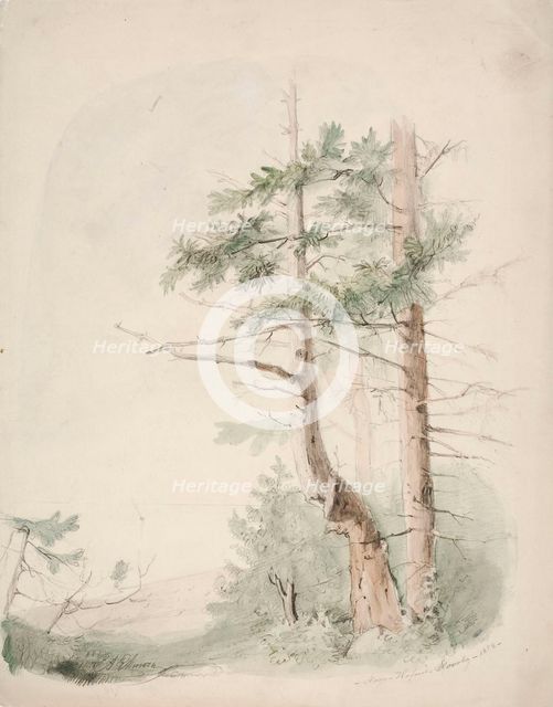 Seaside Landscape "Nagu-Hafverö-Norrby", 1853. Creator: Karl Anders Ekman.
