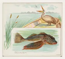 Searobin, from Fish from American Waters series (N39) for Allen & Ginter Cigarettes, 1889. Creator: Allen & Ginter
