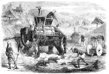 Searching for Rebel Santhals, 1856. Creator: Unknown