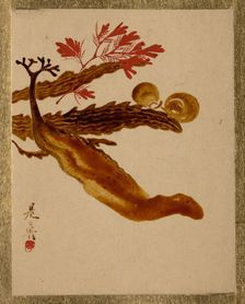 Seaweed. Creator: Shibata Zeshin