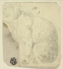 Seated Cat in Profile, n.d. Creator: Unknown