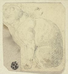 Seated Cat in Profile, n.d. Creator: Unknown