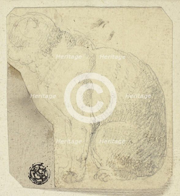 Seated Cat in Profile, n.d. Creator: Unknown.