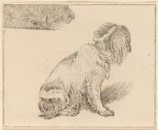 Seated Dog, 1777. Creator: Cornelis Brouwer
