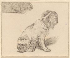 Seated Dog, 1777. Creator: Cornelis Brouwer