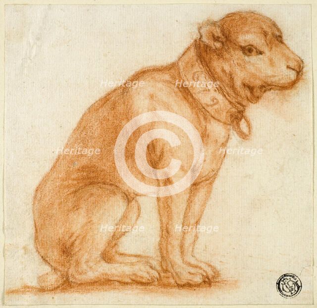Seated Dog with Collar, 1695-1721. Creator: Dirk Valkenburg.