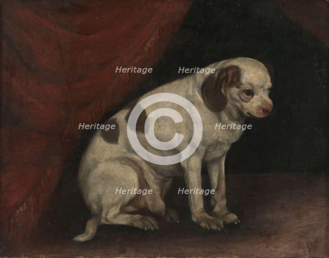 Seated dog, probably 19th century. Creator: Unknown.