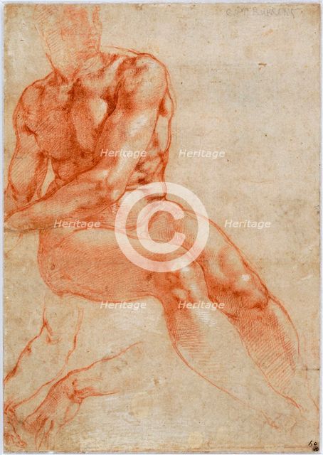Seated Young Male Nude and Two Arm Studies, ca 1510-1511. Artist: Buonarroti, Michelangelo (1475-1564)