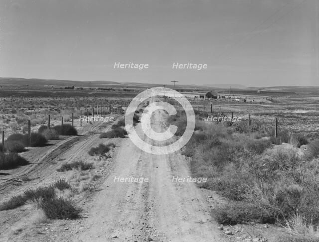 Section of lone road approaching the Schroeder place, Dead Ox Flat, Malheur County, Oregon, 1939. Creator: Dorothea Lange.