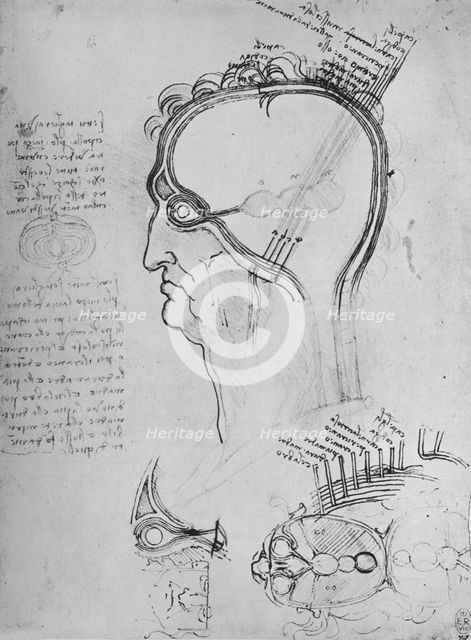'Sections of a Man's Head Showing the Anatomy of the Eye, Etc.', c1480 (1945). Artist: Leonardo da Vinci.