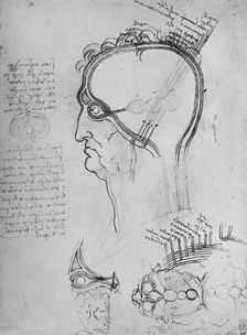 Sections of a Man's Head Showing the Anatomy of the Eye, Etc. c1480 (1945). Artist: Leonardo da Vinci