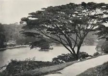 See, Tempel des Heiligen Zahnes und Bibliothek in Kandy, vom Viktoria-Drive ach Osten gesehen 192