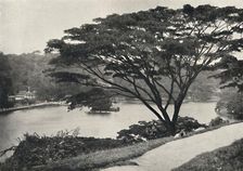 See, Tempel des Heiligen Zahnes und Bibliothek in Kandy, vom Viktoria-Drive ach Osten gesehen 192