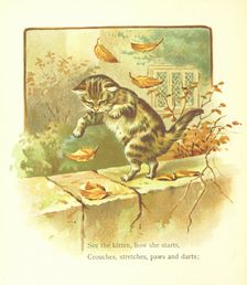 See the kitten, how she starts, Crouches, stretches, paws and darts, 1893. Creator: Jessie Hall