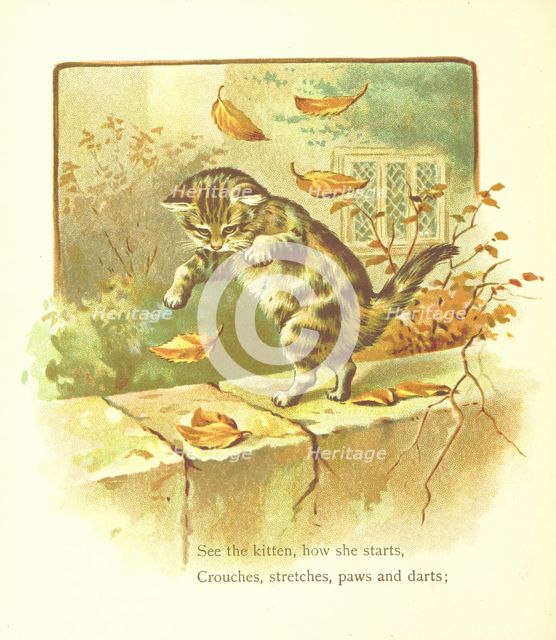 See the kitten, how she starts, Crouches, stretches, paws and darts, 1893.  Creator: Jessie Hall.