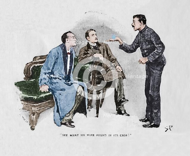 'See What My Wife Found In Its Crop', 1892. Artist: Sidney E Paget.