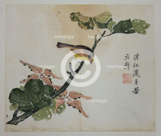Seeds and Aleurites Cordata (?): Page from The Mustard Seed Garden Manual of..., 1782, 2nd edition. Creator: Unknown.
